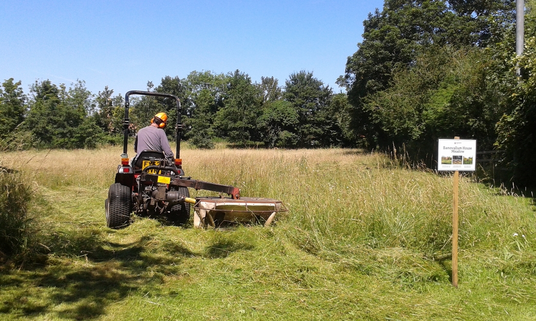 When to mow a meadow Lincolnshire Wildlife Trust